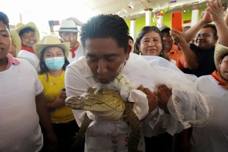 Mexican mayor marries alligator in colourful wedding ceremony