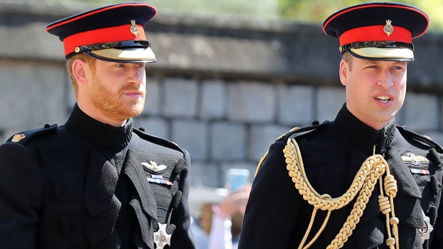 Prince Harry Talks Beard On Wedding ceremony Day & William’s ‘Furious’ Response – Hollywood Life - Neccessary Presence